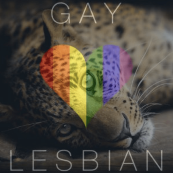 Sorry, ich liebe Dich Spezial:  Homosexualität